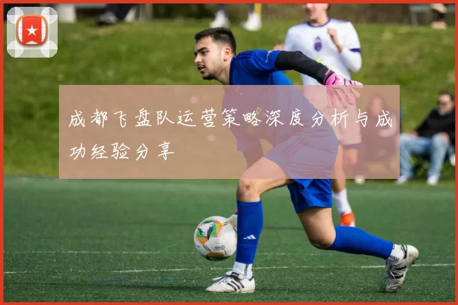 成都飞盘队运营策略深度分析与成功经验分享