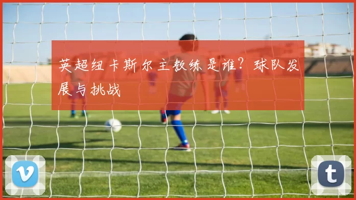 英超纽卡斯尔主教练是谁？球队发展与挑战