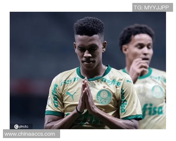 巴西足球甲级联赛精彩对决：历史、球队、明星球员与未来发展趋势分析