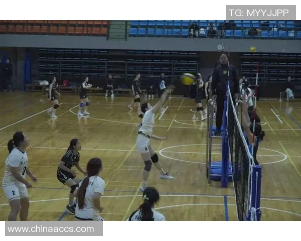 重庆排球队团队协作引发热议球员间配合与默契的争论不断升级