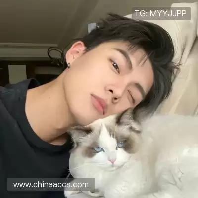 农杉菁